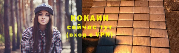 PSILOCYBIN Горнозаводск