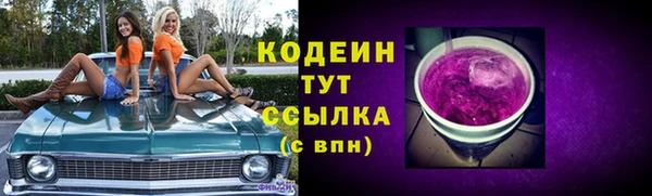 соль ск Горно-Алтайск