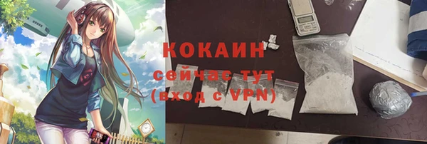 PSILOCYBIN Горнозаводск