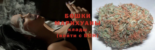 прущие грибы Горняк
