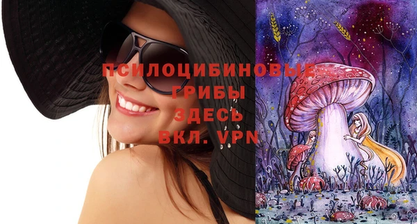 прущие грибы Горняк