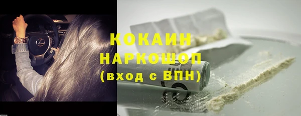 прущие грибы Горняк
