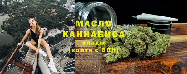 прущие грибы Горняк