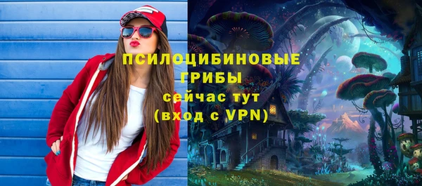 соль ск Горно-Алтайск