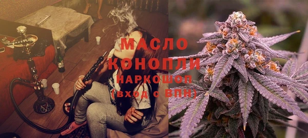 прущие грибы Горняк