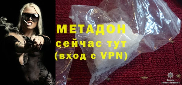прущие грибы Горняк