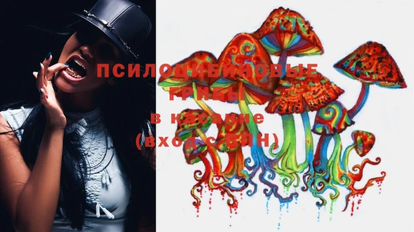 PSILOCYBIN Горнозаводск