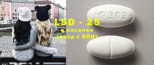 прущие грибы Горняк