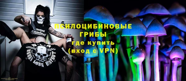 прущие грибы Горняк