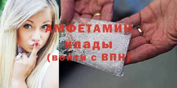 прущие грибы Горняк