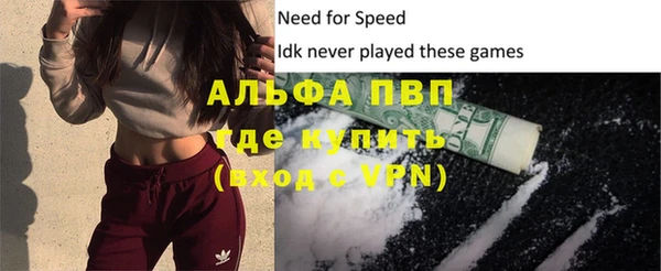 прущие грибы Горняк
