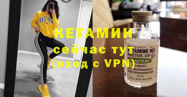 прущие грибы Горняк