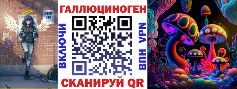Купить где Петровск-Забайкальский Галлюциногенные грибы MAGIC MUSHROOMS